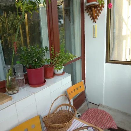 Apartament 3 Camere, Ideal Pt Familii Cu Copii, Langa Cazino, Acvariu, Port, Plaja, Piata Ovidiu * Constanţa